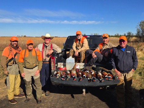pheasants back of pickup